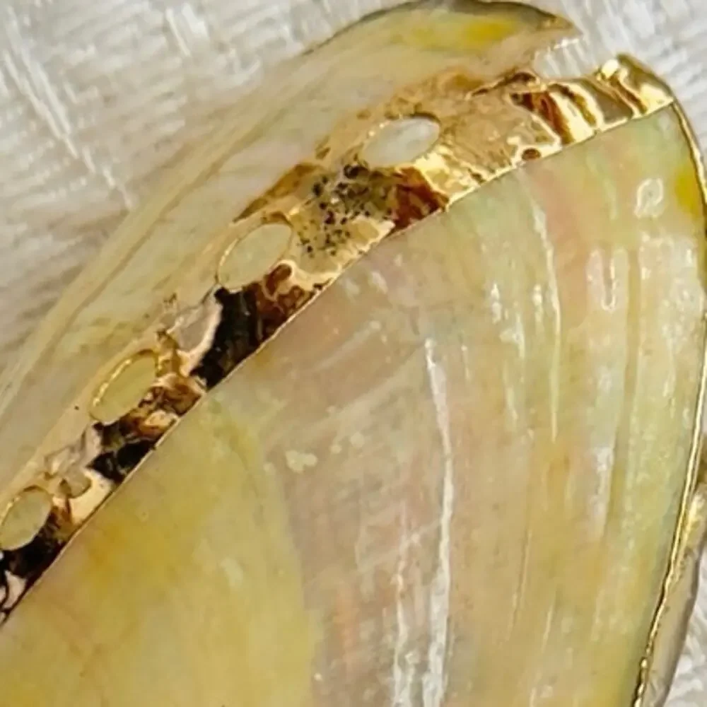 Gilded White Abalone Shell Scarf Slide Gold Painted Accents Shell Clip 1990’s